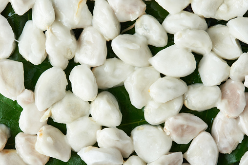 Kakao Basah